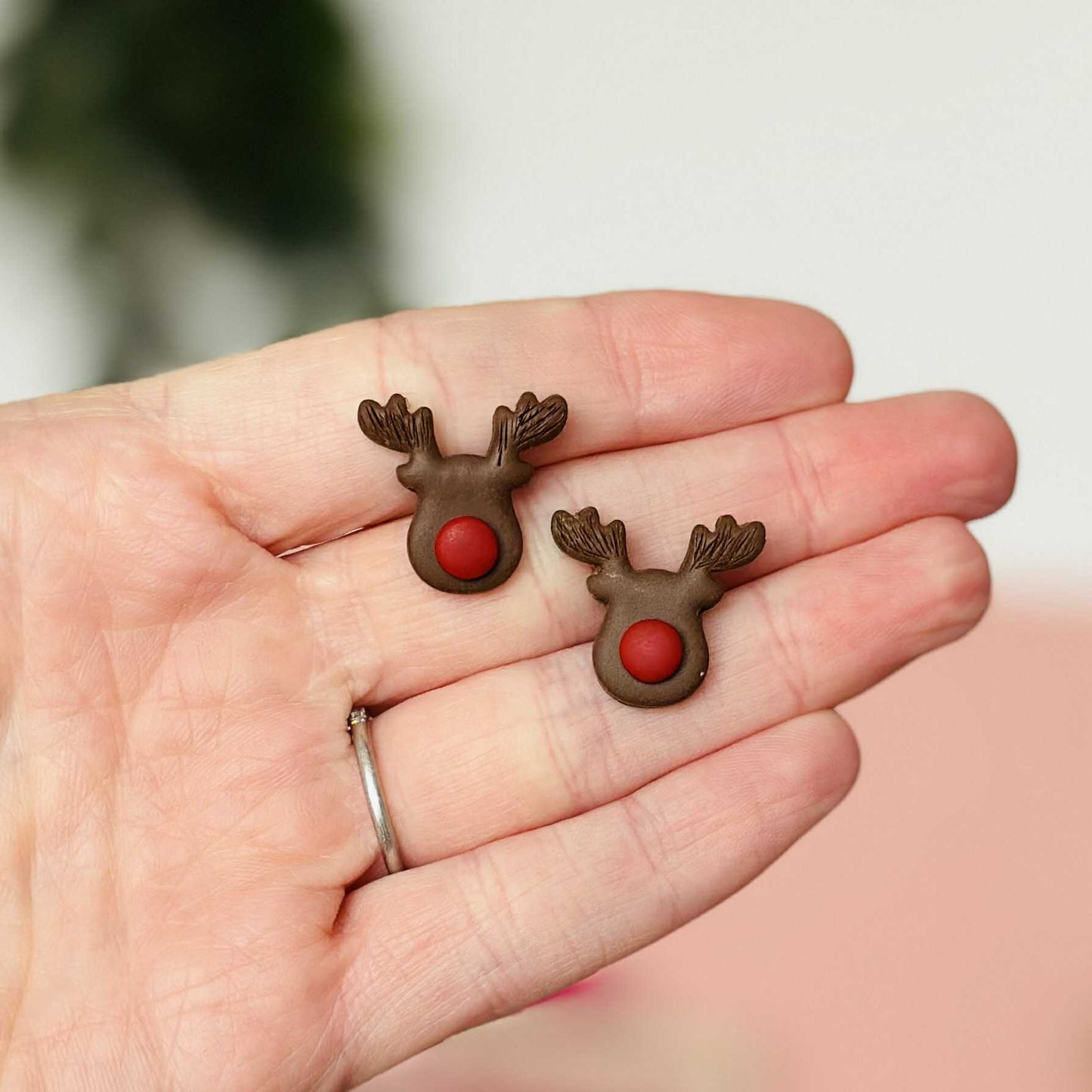 Rudolph Stud